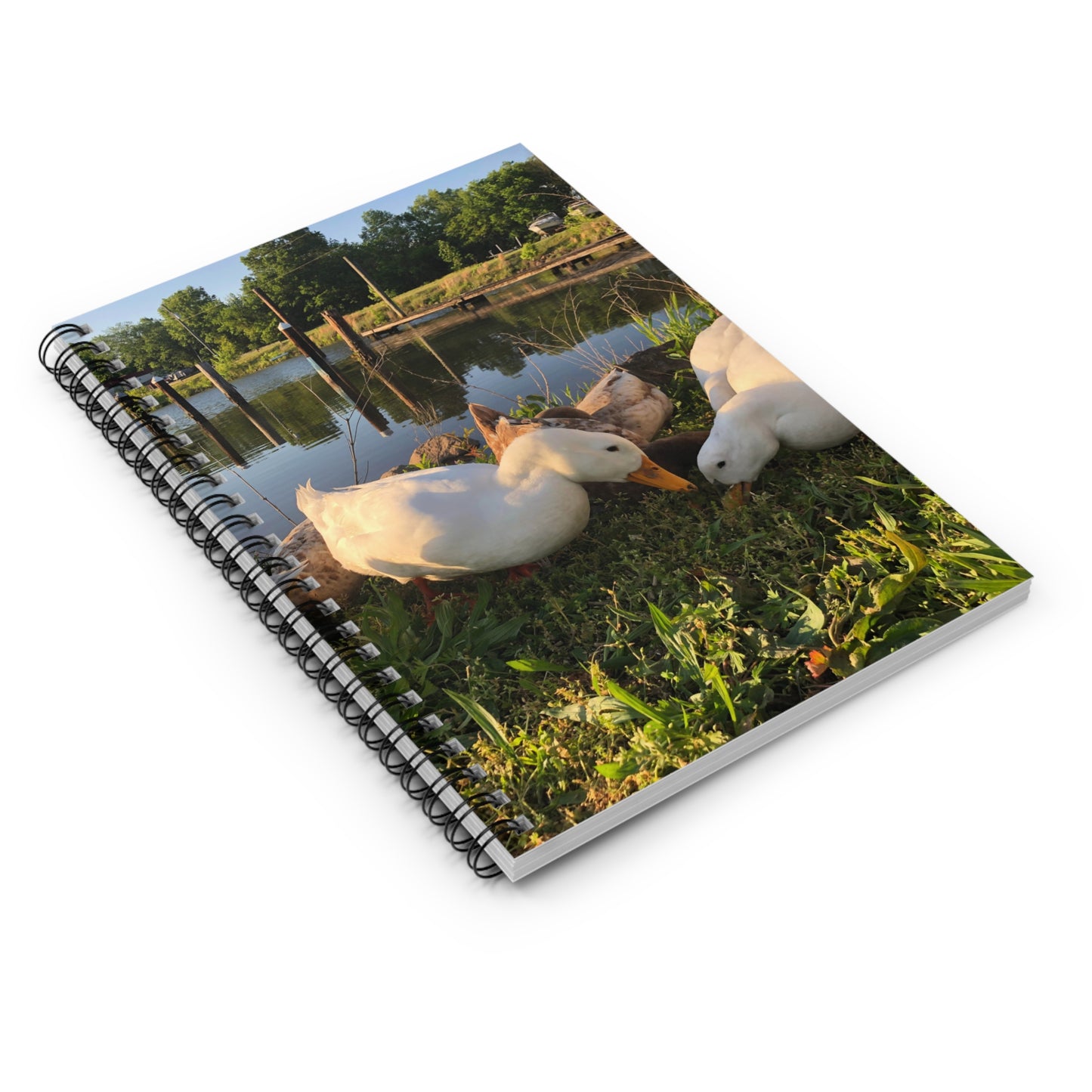 'Feeding the Ducks' Spiral Notebook - Ruled Line