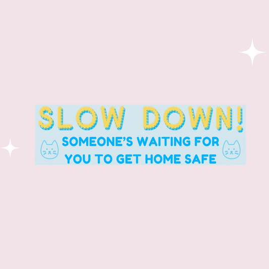 "Slow Down!" (Cat Version) Bumper Sticker