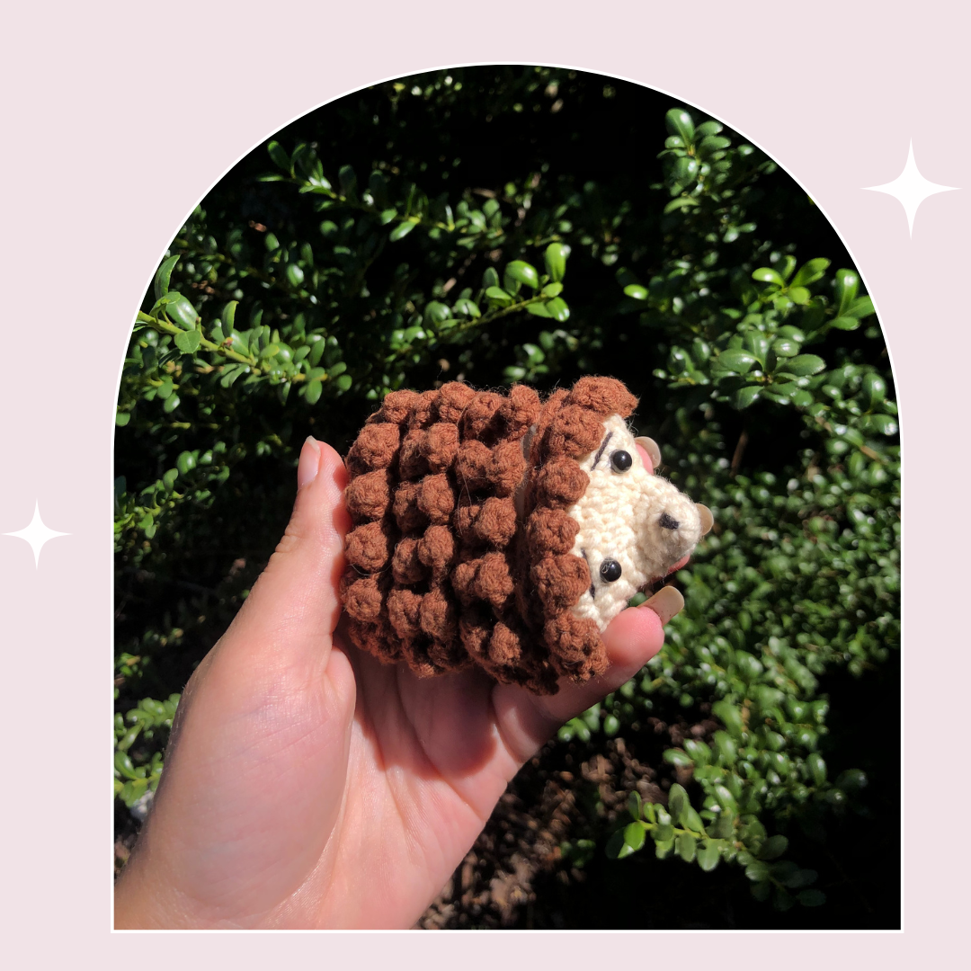 Crochet Hedgehog AirPod Case